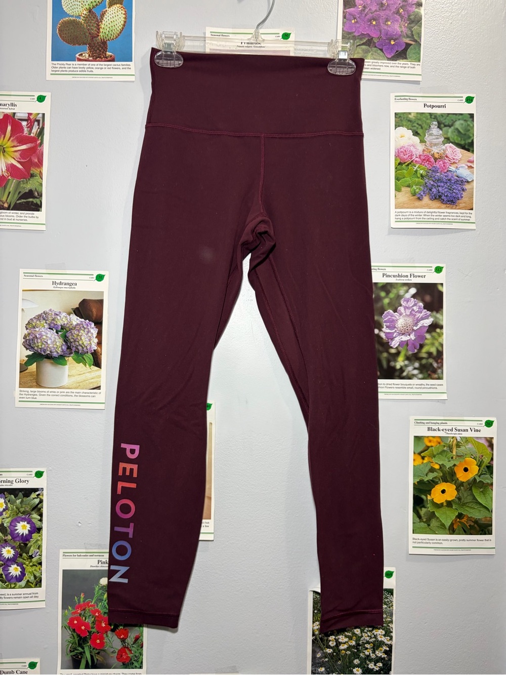 Peloton  High-Rise Leggings in Deep Burgundy